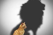 How to be vulnerable and increase your courage-v2