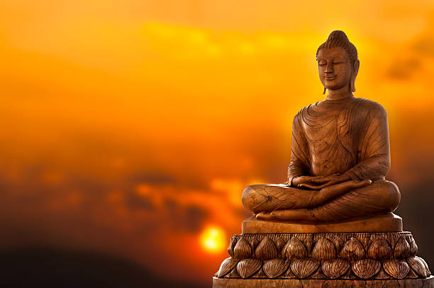 Discovering the Buddha Within You