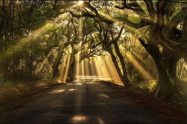 The Path from No to Yes